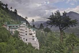 Corsso manali himalayan monal